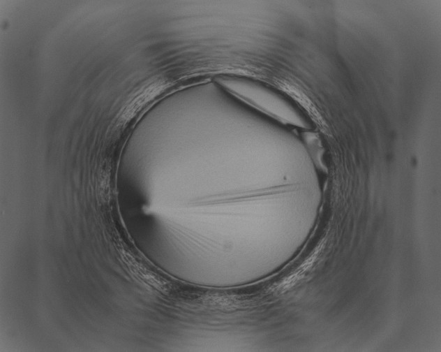 X0000087310977200705180942