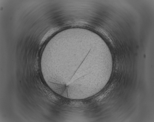 X0000087310978200705180942