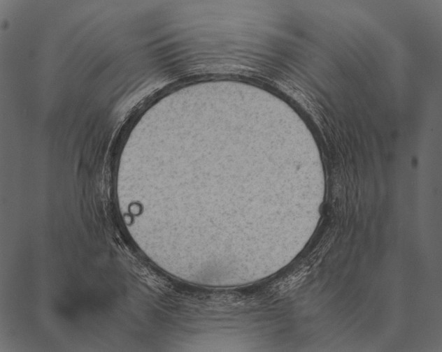 X0000087310979200705180941