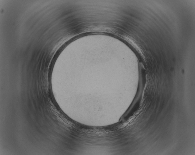 X0000087310980200705180941