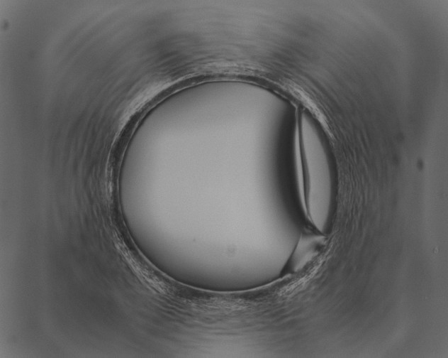 X0000087310981200705180941