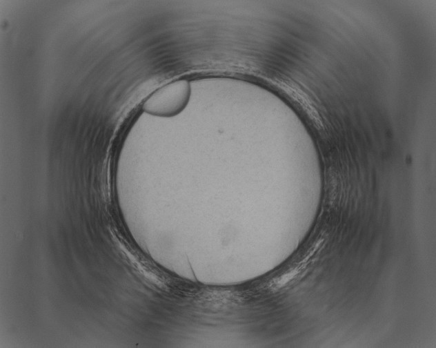 X0000087310982200705180941