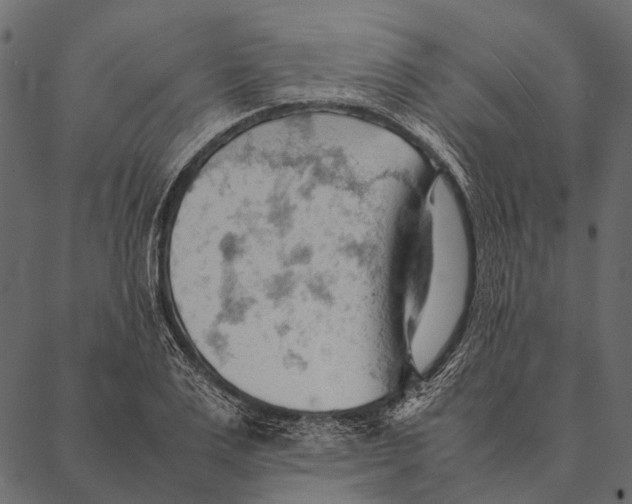 X0000087310983200705180941