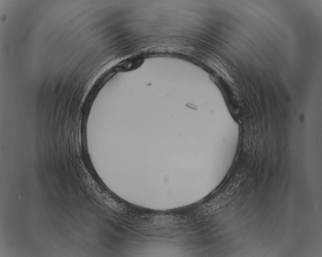 X0000087310984200705180941