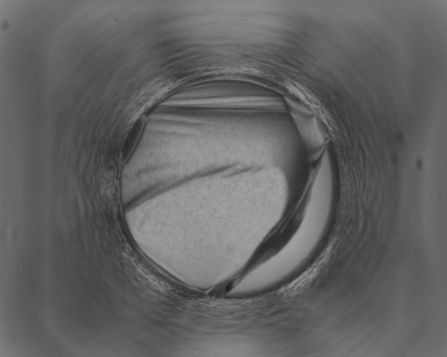 X0000087310985200705180941