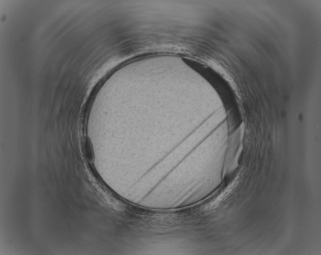 X0000087310989200705180941