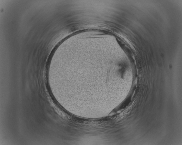 X0000087310991200705180941