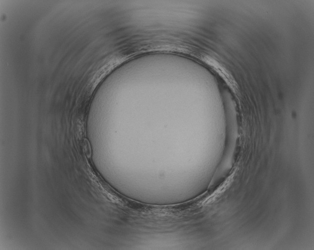 X0000087310993200705180941