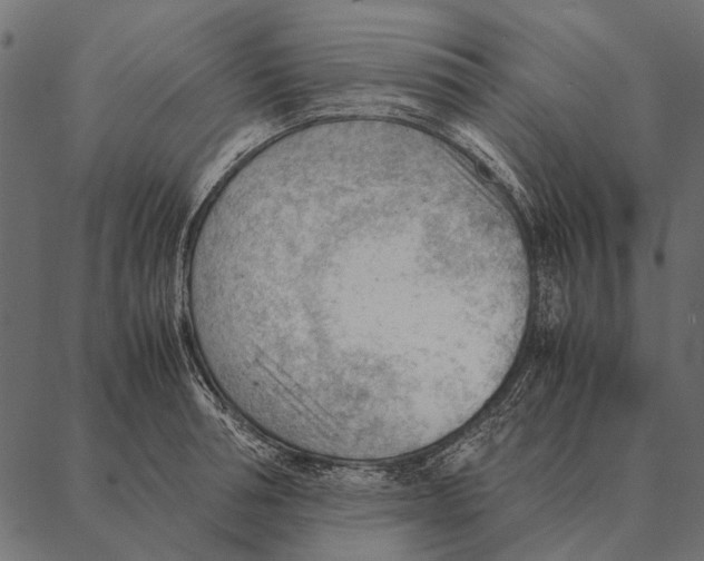 X0000087310994200705180941