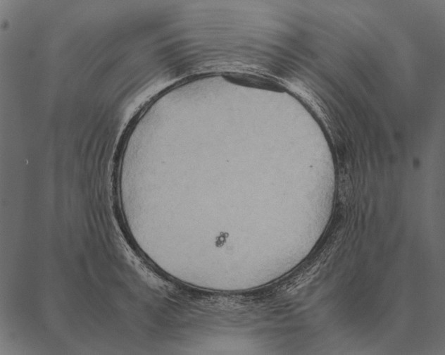 X0000087310995200705180941