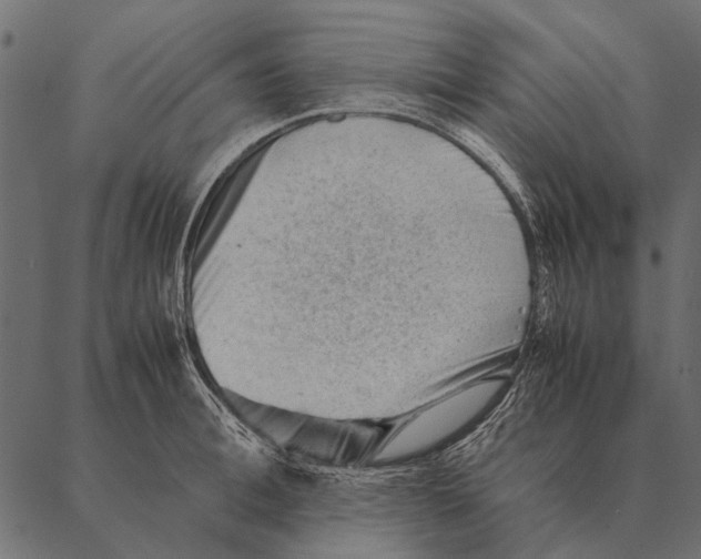 X0000087310996200705180941