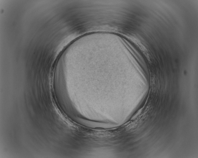 X0000087310998200705180941