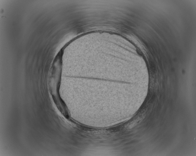 X0000087310999200705180941