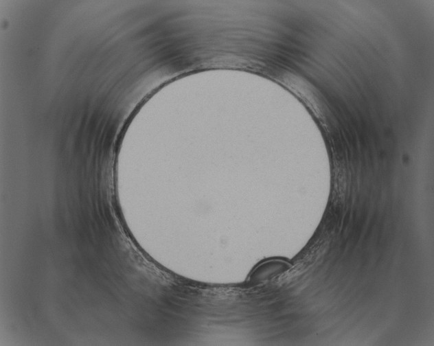 X0000087311000200705180941