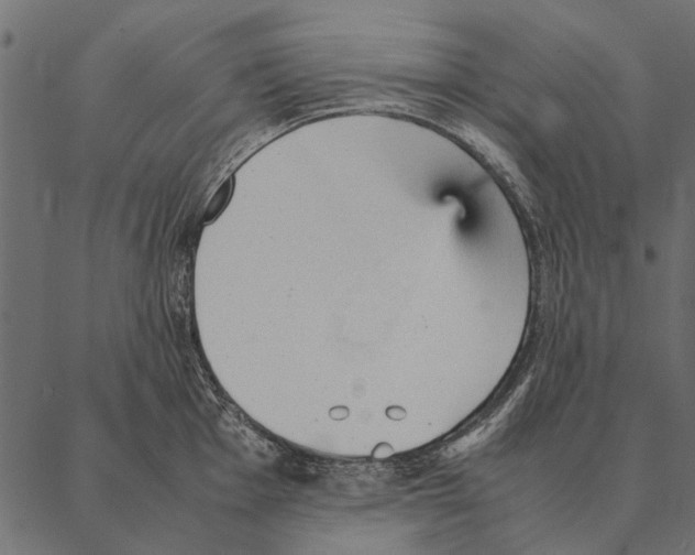 X0000087311001200705180941