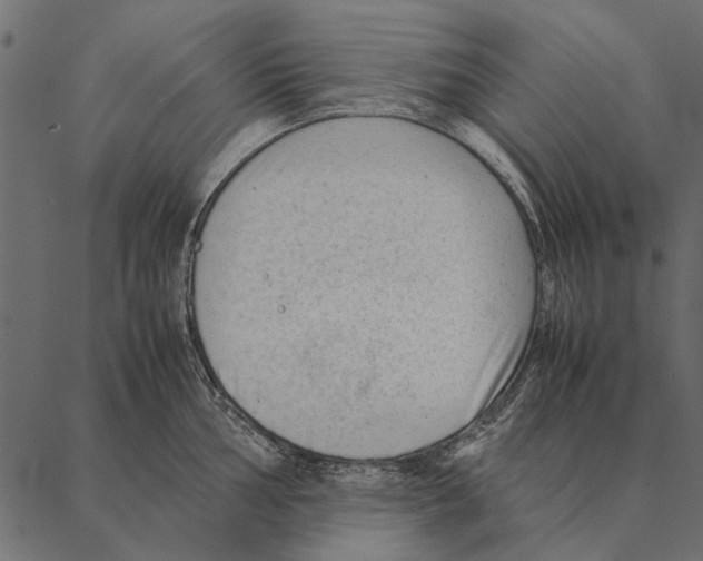 X0000087311002200705180941