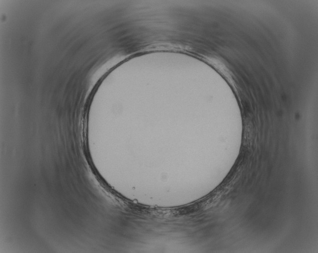 X0000087311003200705180941