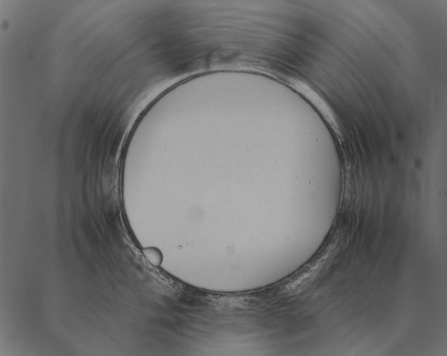 X0000087311004200705180941