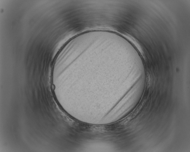 X0000087311006200705180941