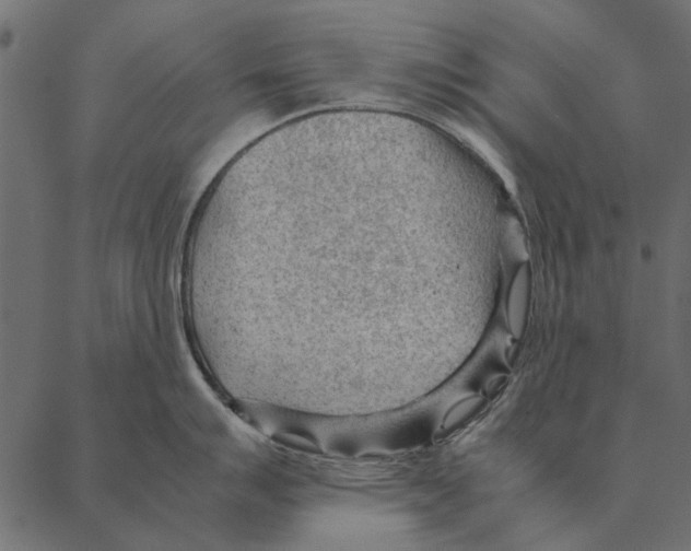 X0000087311007200705180941