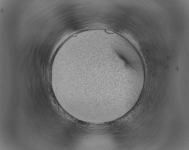 X0000087311008200705180941