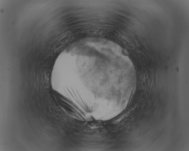 X0000087311013200705180940