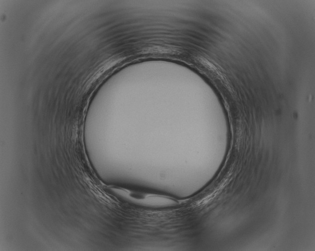 X0000087311017200705180940