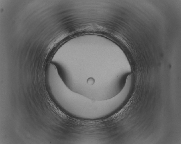 X0000087311018200705180940