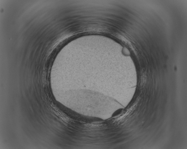 X0000087311019200705180940