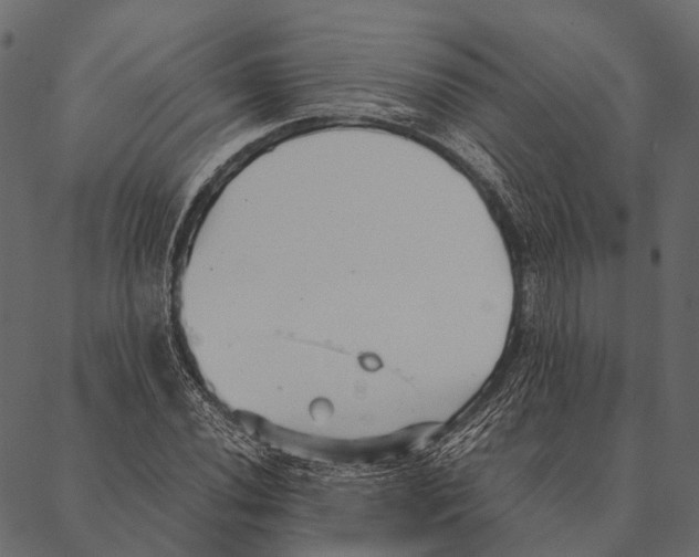 X0000087311020200705180940