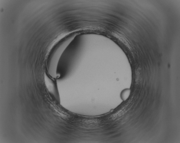 X0000087311021200705180940