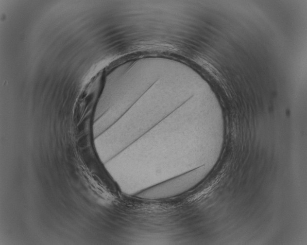 X0000087311022200705180940