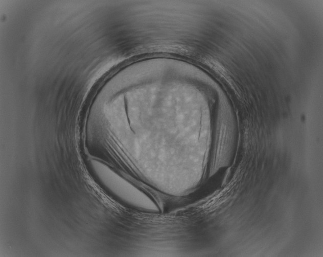 X0000087311024200705180940