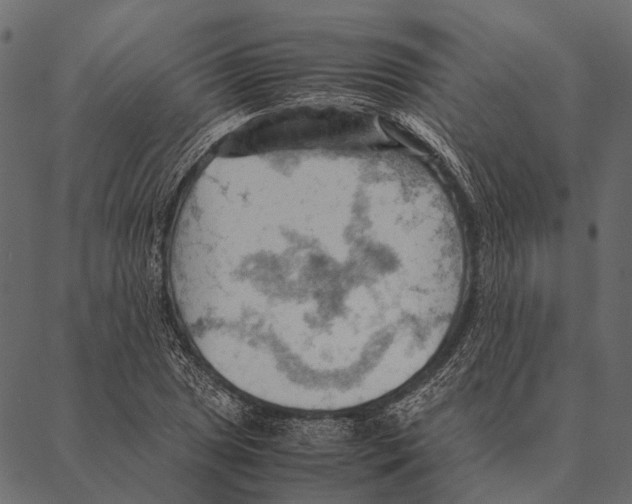 X0000087311025200705180941