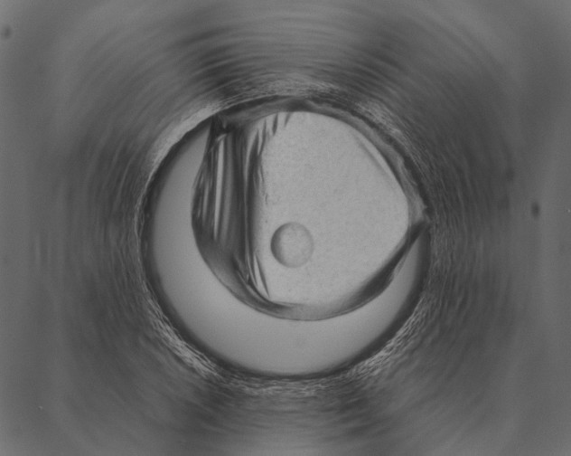 X0000087311026200705180941