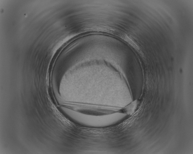 X0000087311028200705180941