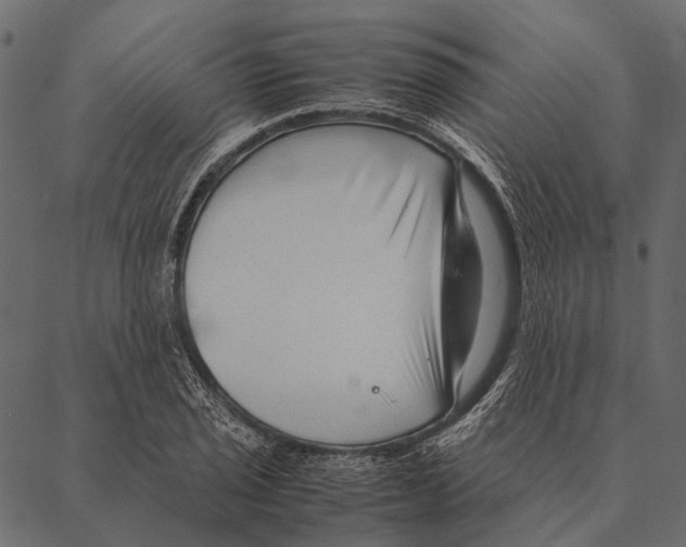 X0000087311029200705180941