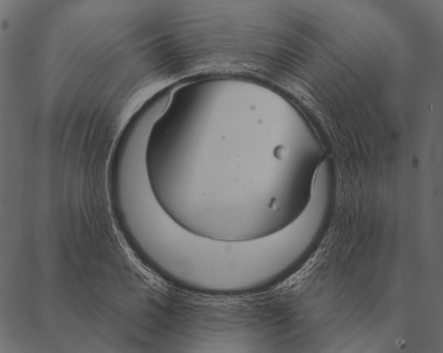 X0000087311030200705180941