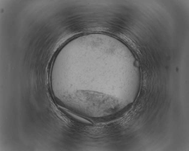 X0000087311031200705180941