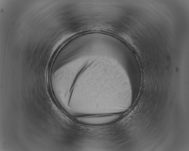 X0000087311032200705180941