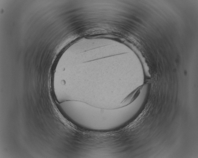 X0000087311034200705180941