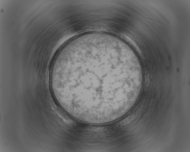 X0000087311035200705180941