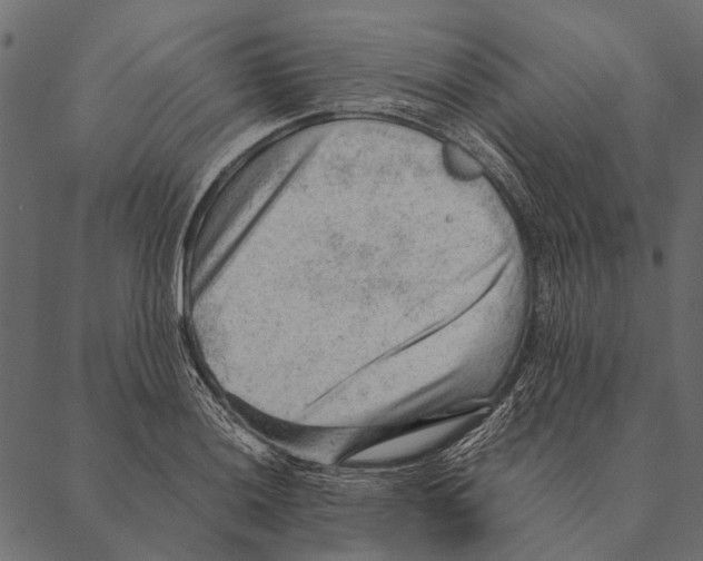 X0000087311036200705180941