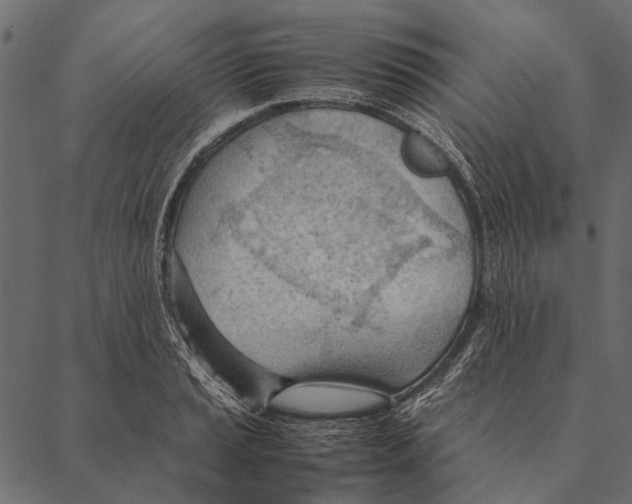 X0000087311037200705180941