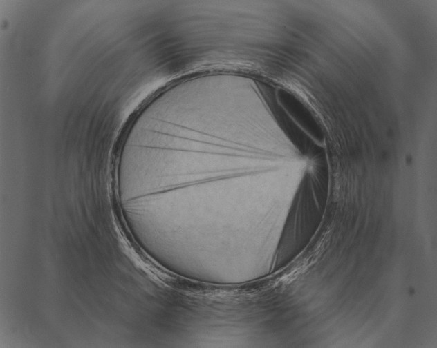 X0000087311038200705180941