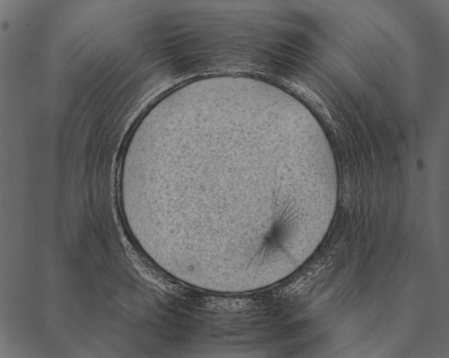 X0000087311039200705180941