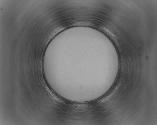 X0000087311041200705180941