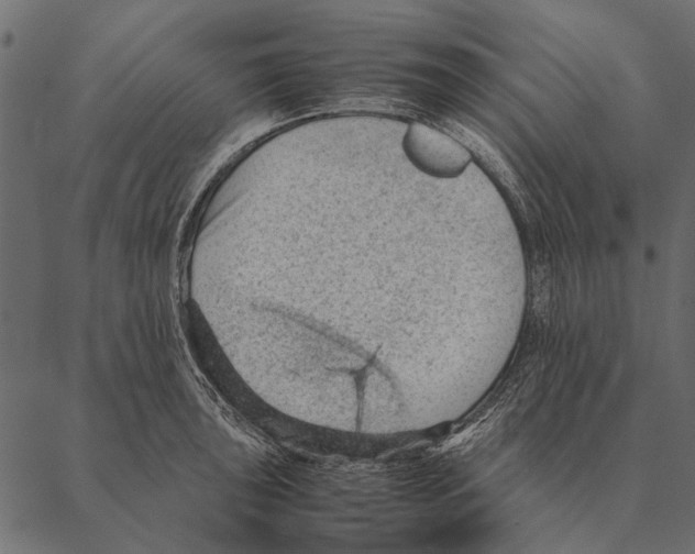 X0000087311043200705180941