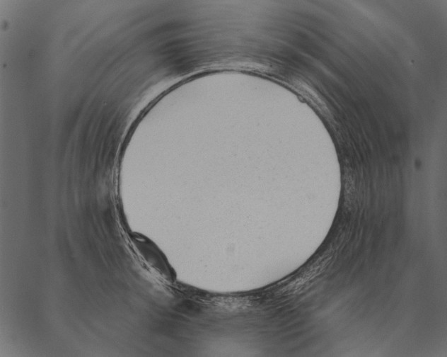 X0000087311044200705180941