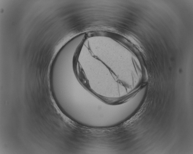 X0000087311046200705180941